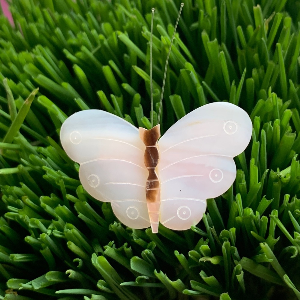 Vintage - Darling Treasure Mother of Pearl (MOP) Shell Butterfly Pin - Perfect